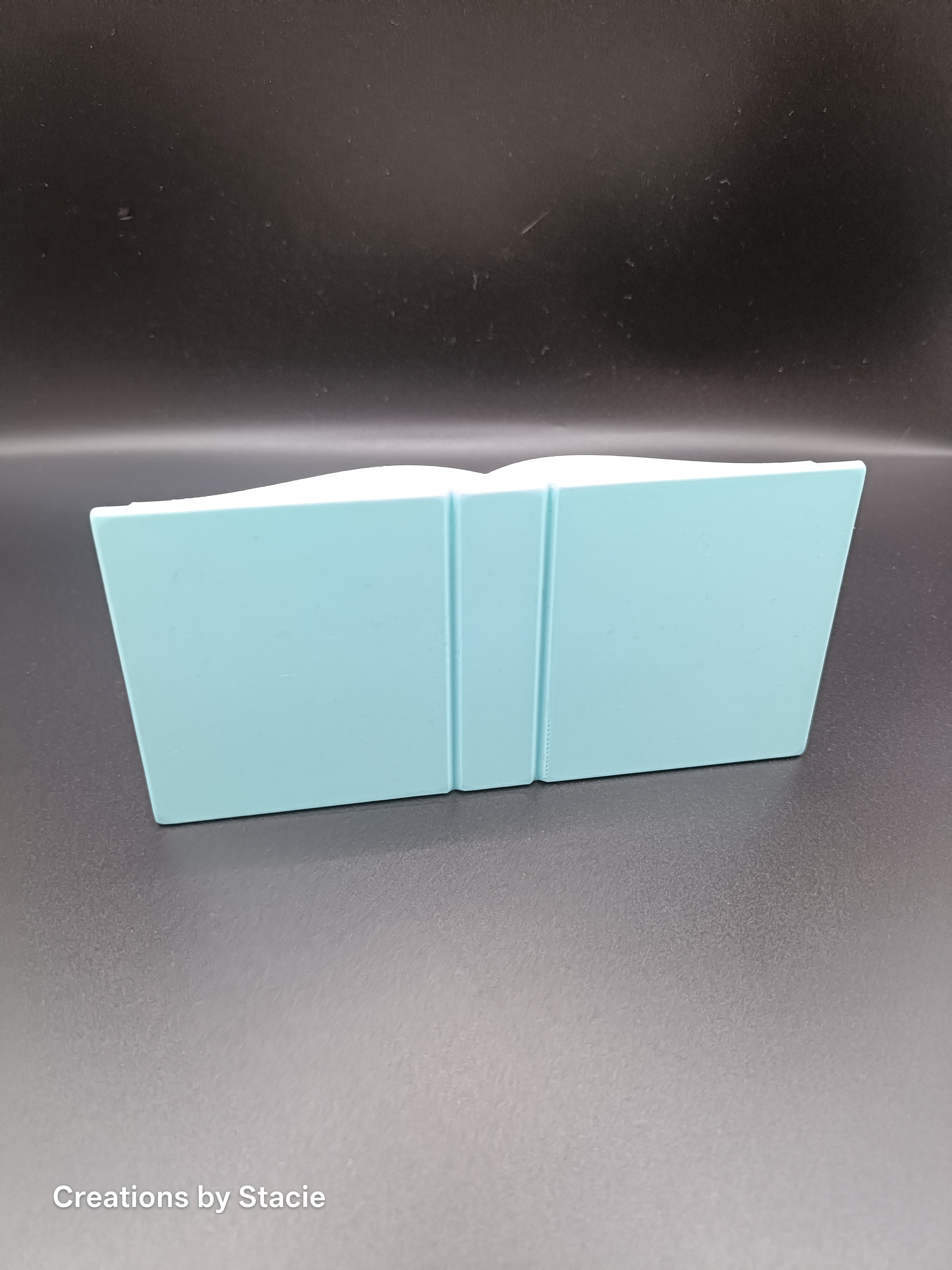 Kindle Display Holder