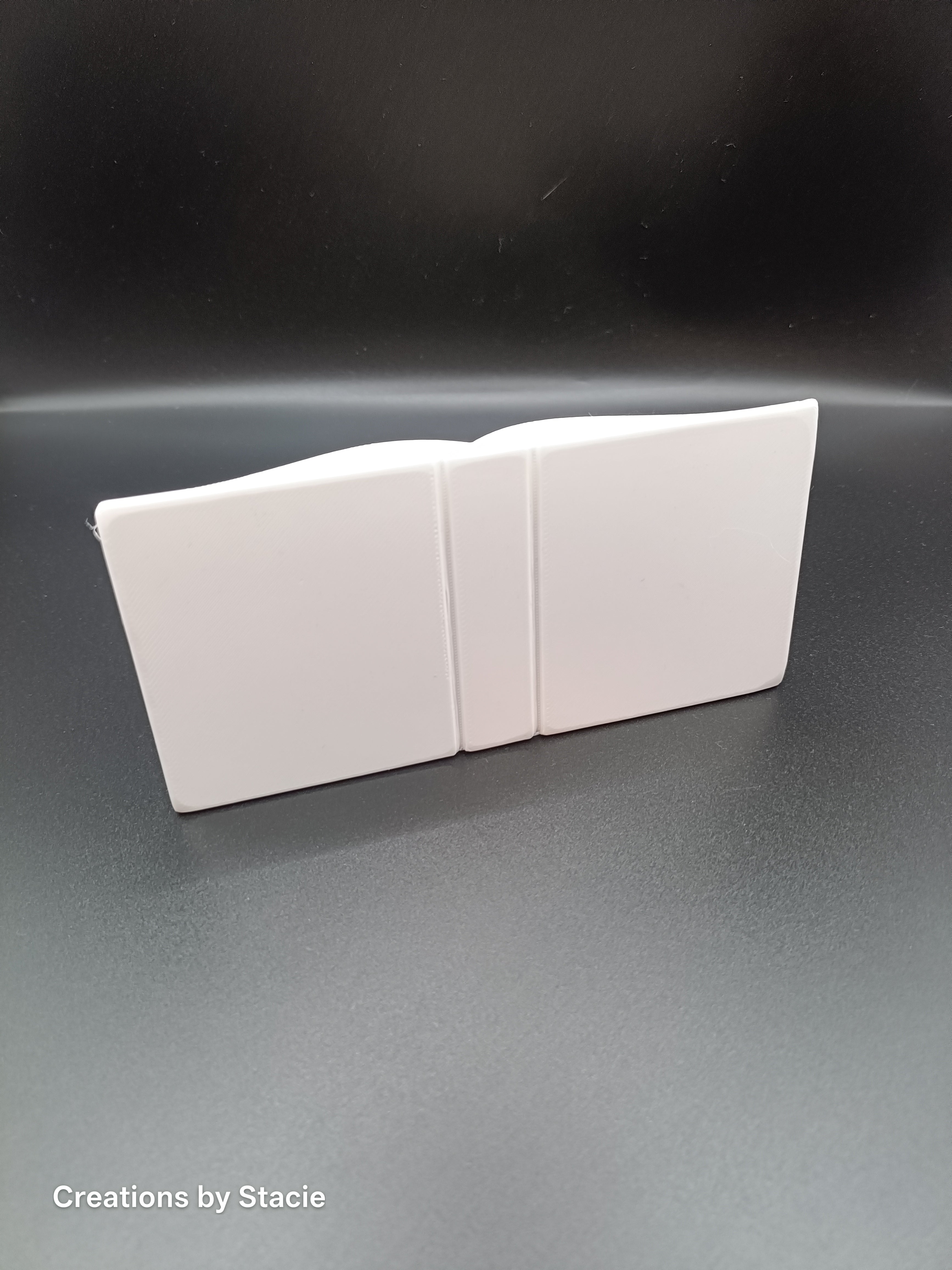 Kindle Display Holder