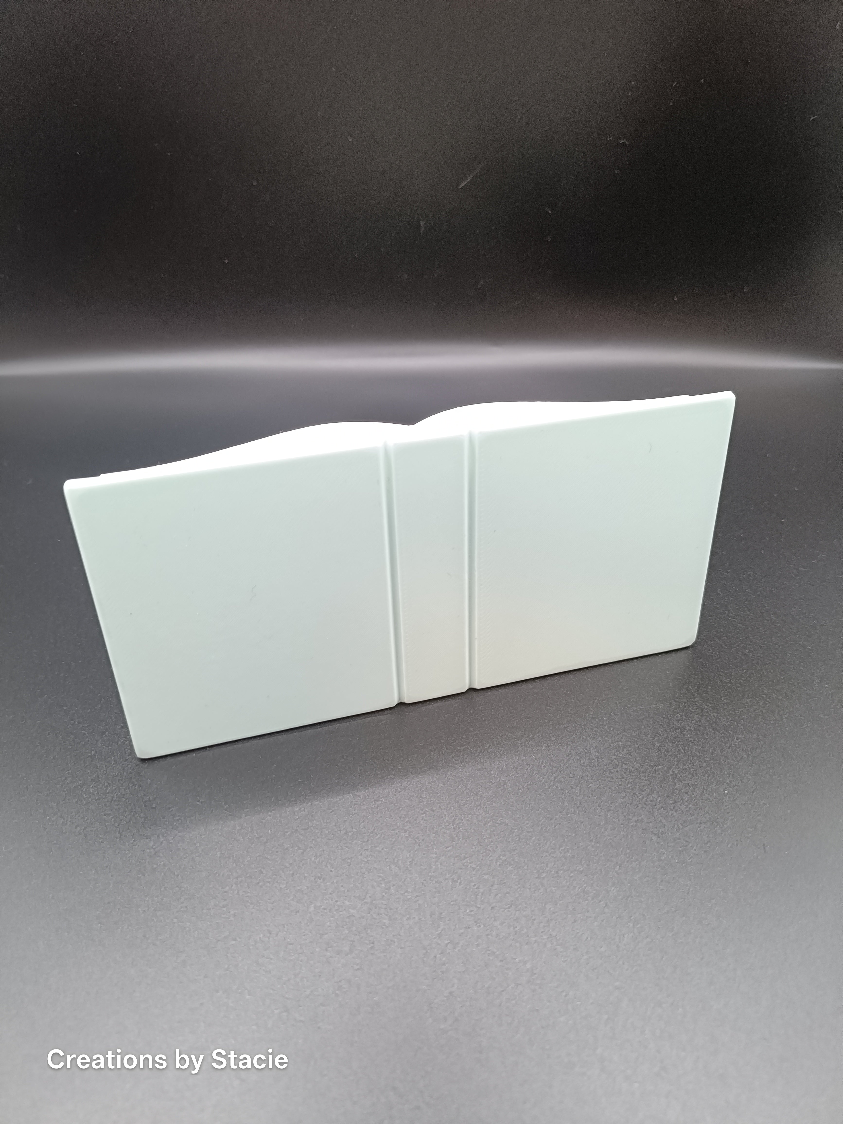 Kindle Display Holder