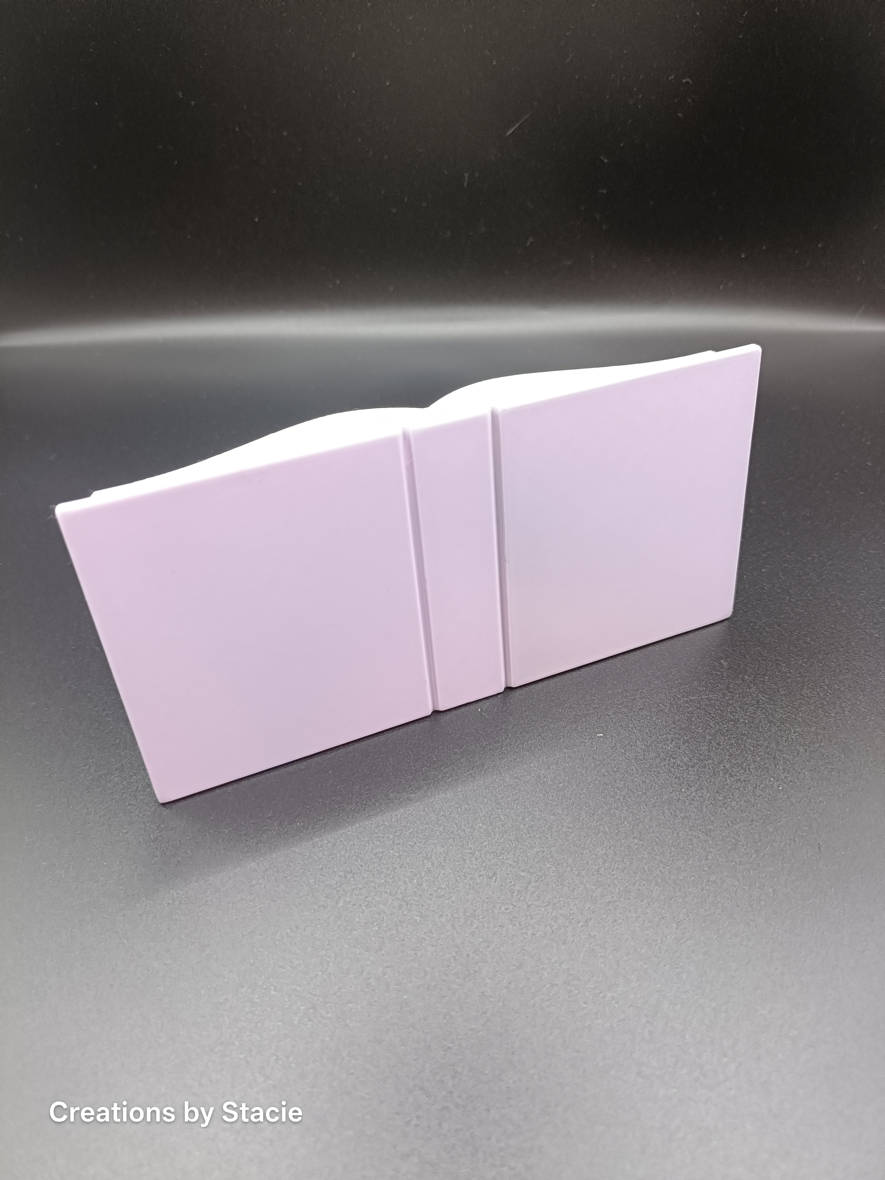 Kindle Display Holder