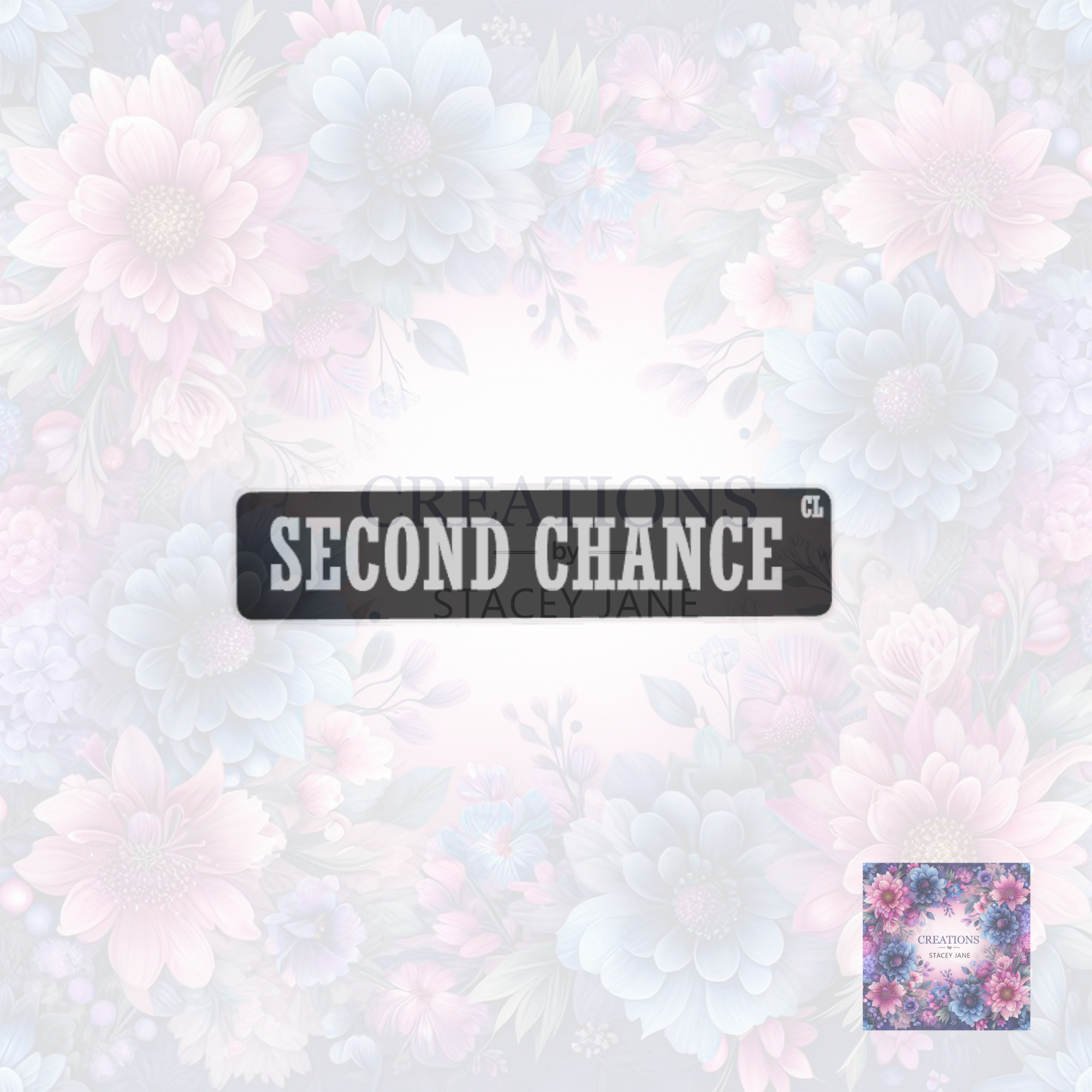 Second Chance Book Shelf/Street Sign