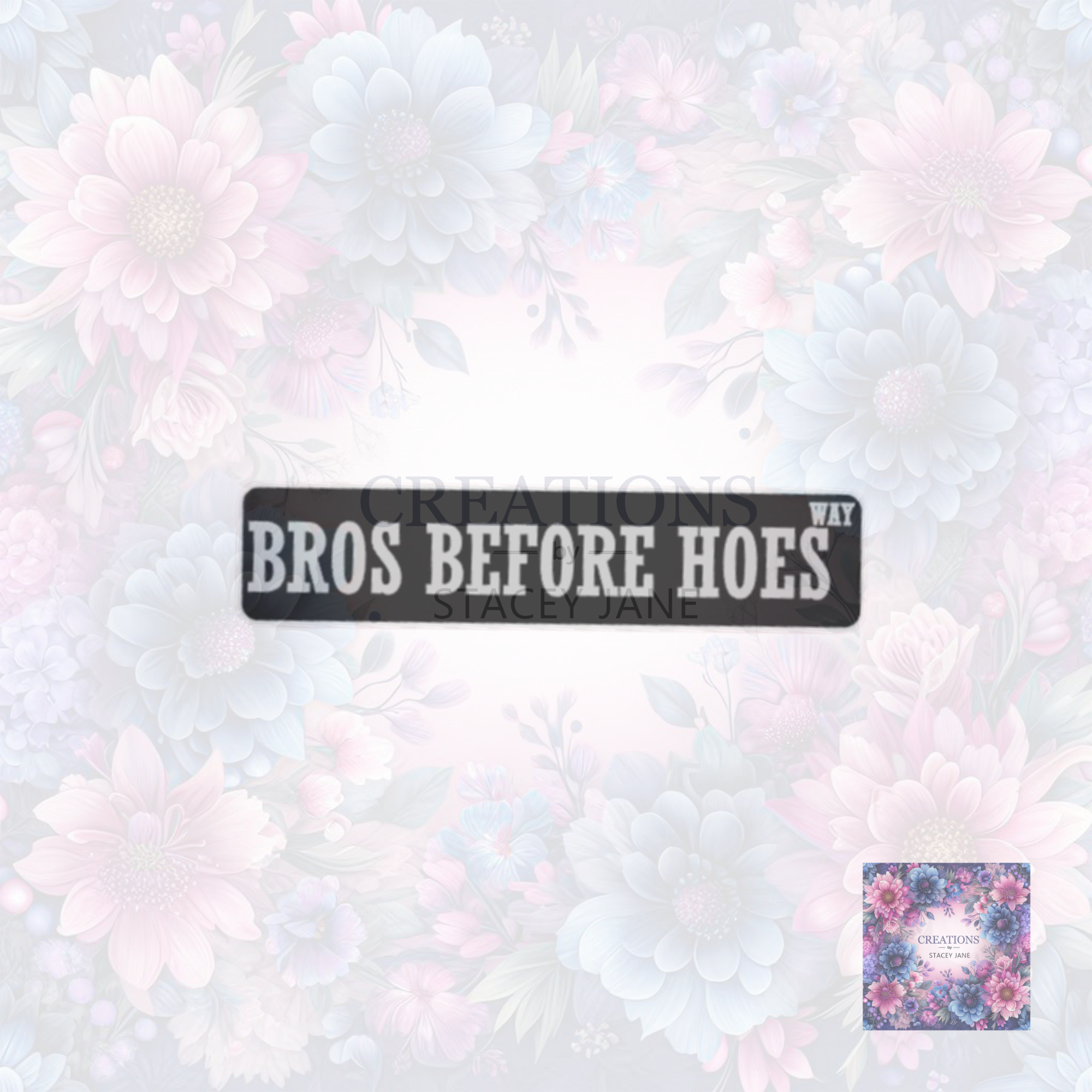 Bros Before Hoes Book Shelf/Street Sign
