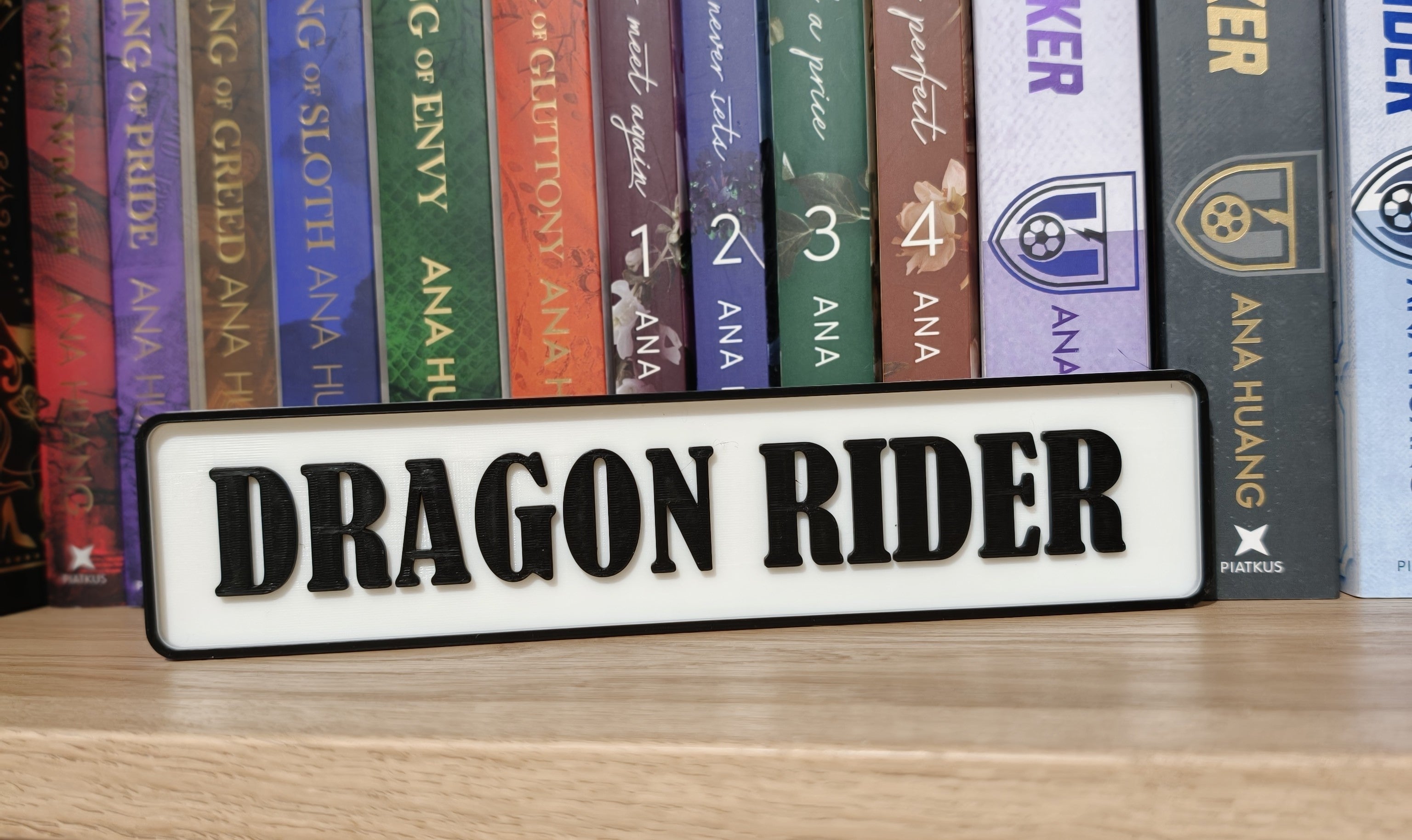 Dragon Rider Book Shelf/Street Sign