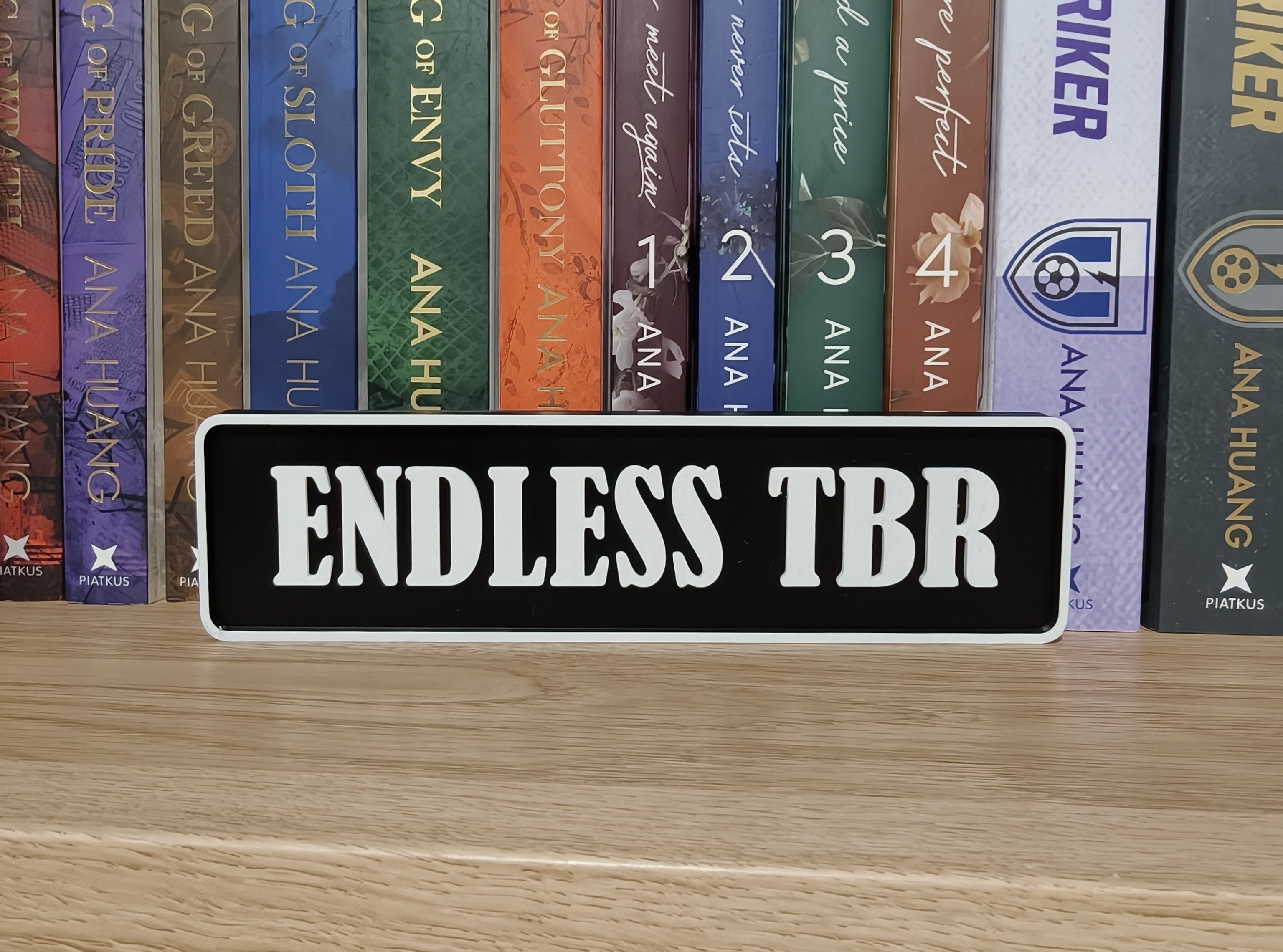 Endless TBR Book Shelf/Street Sign